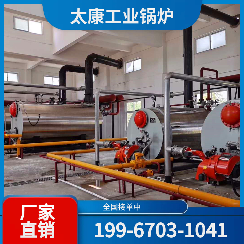 聊城燃煤导热油锅炉
